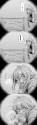 248 KB